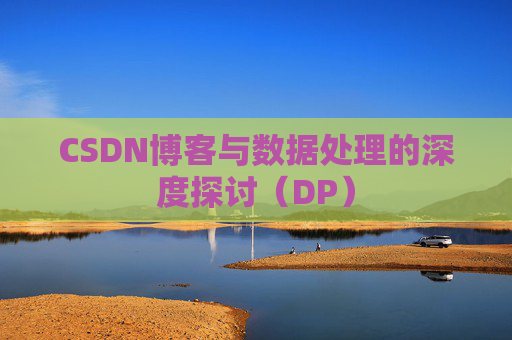 CSDN博客与数据处理的深度探讨（DP）
